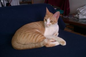 Rafaela Bild von Rafaela