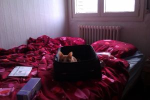 Rafaela Bild von Rafaela