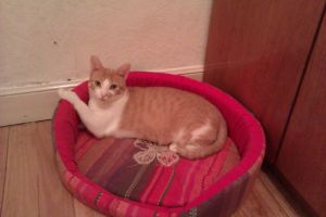 Rafaela Bild von Rafaela