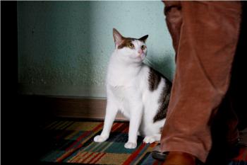 Shopie Bild von Shopie