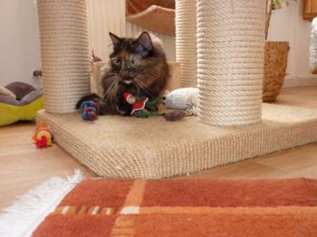 Minnie Bild von Minnie