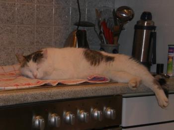 Floc Bild von Floc