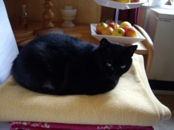 Bibi Bild von Bibi