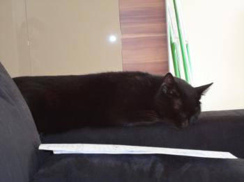 Salem Bild von Salem
