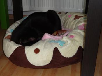 Salem Bild von Salem