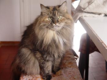Cloe Bild von Cloe