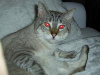 Sid Bild von Clarence