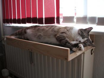Mina Bild von Mina