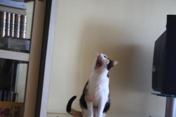 Teresita Bild von Teresita
