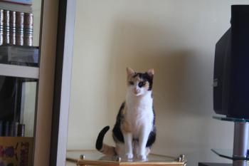 Teresita Bild von Teresita