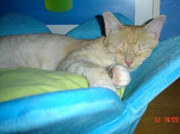 Kate Bild von Guapa