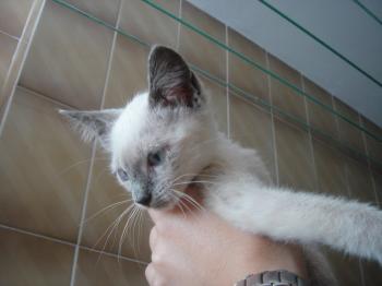 Lola Bild von Lola