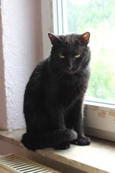 Floby Bild von Floby