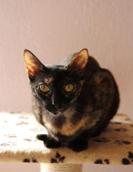 Keiko Bild von Keiko