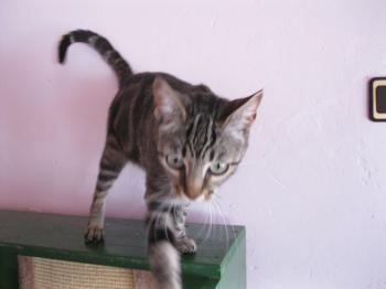 Lulu Bild von Lulu