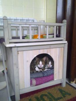 Brother Bild von Brother