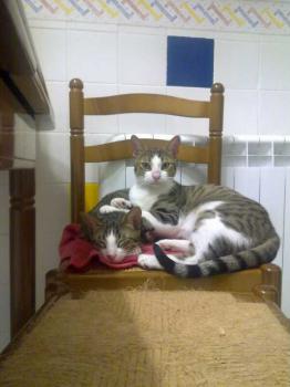 Brother Bild von Brother