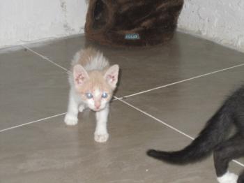Ohne Namen 4910 Bild von Pascha