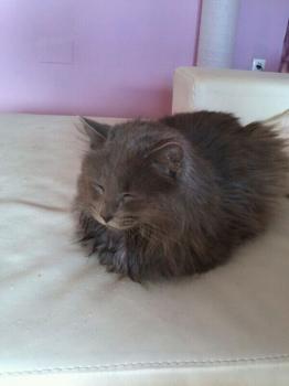 Maximiliano Bild von Maximiliano