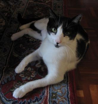 Pablo Bild von Pablo