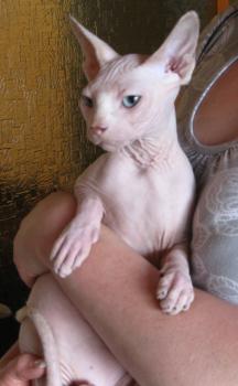 Jimmy Bild von Jimmy