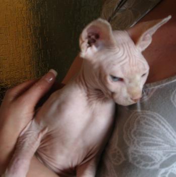 Jimmy Bild von Jimmy