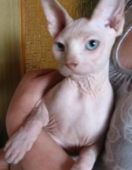 Jimmy Bild von Jimmy