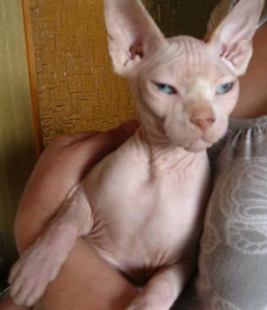 Jimmy Bild von Jimmy