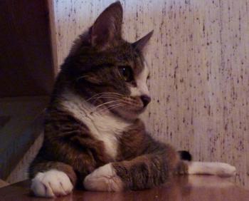 Skinny Bild von Skinny