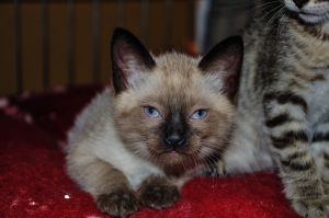 Marlene Bild von Marlene