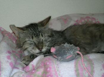 Chencho Bild von Chencho