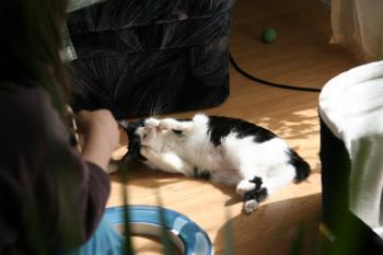 Bild von Takas