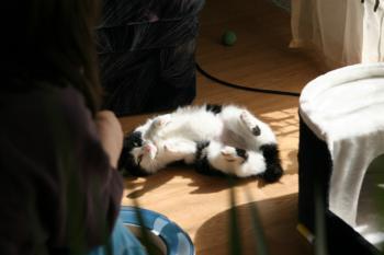 Bild von Takas