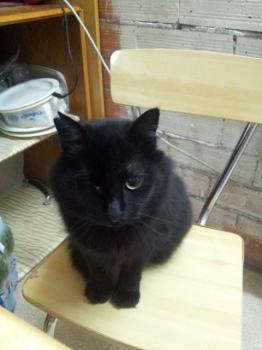 Nika Bild von Nika