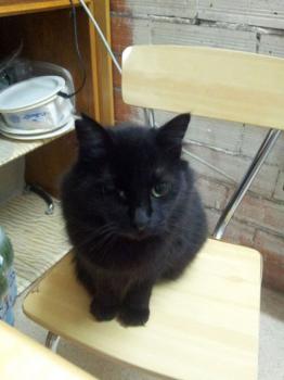 Nika Bild von Nika