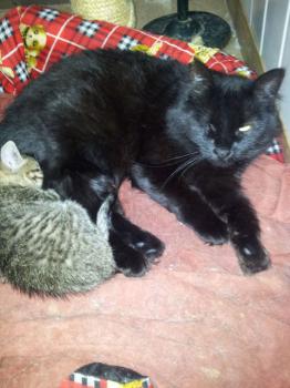 Nika Bild von Nika