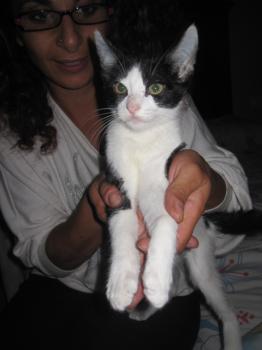 Bild von Fenja