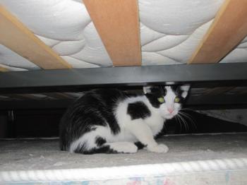 Ohne Namen 4951 Bild von Rocky