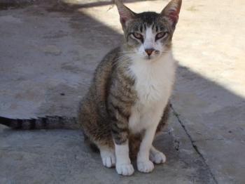 Porti Bild von Porti