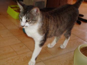 Porti Bild von Porti