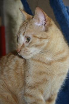Samuel Bild von Samuel