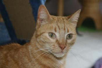 Samuel Bild von Samuel