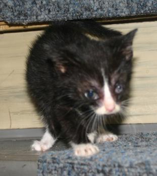 Babette Bild von Babette
