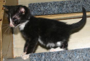 Babette Bild von Babette