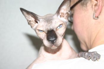 Halifee Bild von Halifee