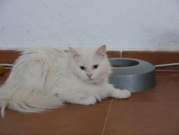 Maite Bild von Maite