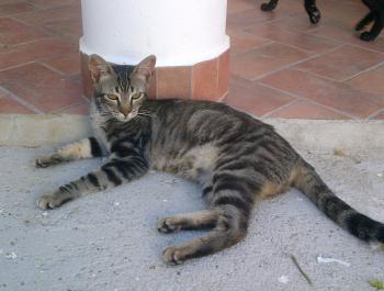 Bild von Trass