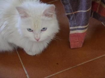 Maite Bild von Maite