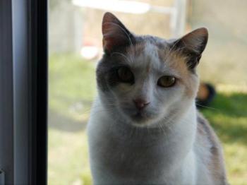 Cara Bild von Cara