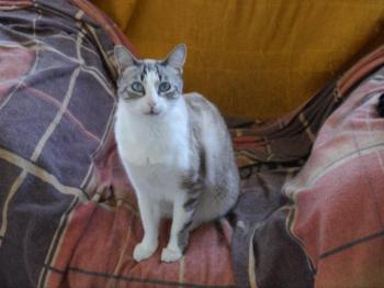 Bild von Sissi